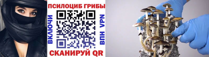 Галлюциногенные грибы Magic Shrooms  Купить где  Белый 
